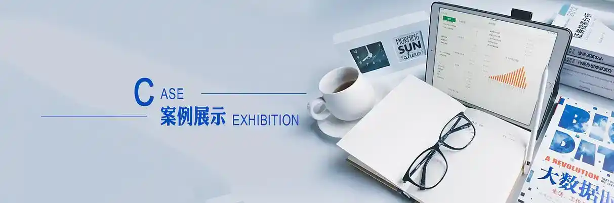 达川市软件开发